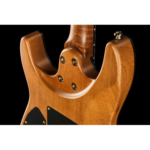 Harley Benton Fusion-IV HSS RW SGD