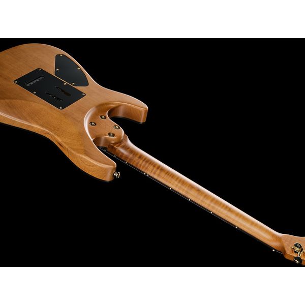 Harley Benton Fusion-IV HSS RW SGD