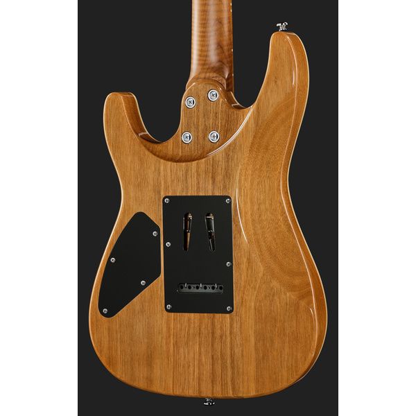 Harley Benton Fusion-IV HH MN QBKB