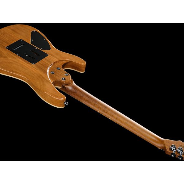 Harley Benton Fusion-IV HH MN QBKB