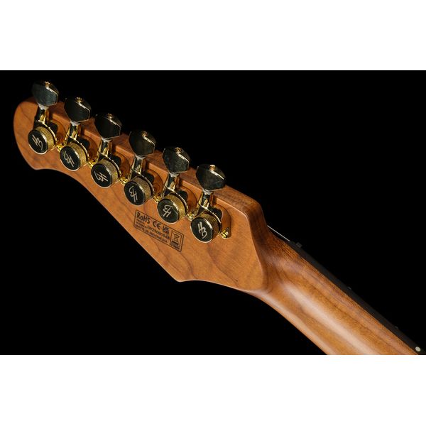 Harley Benton Fusion-IV HH RW PM