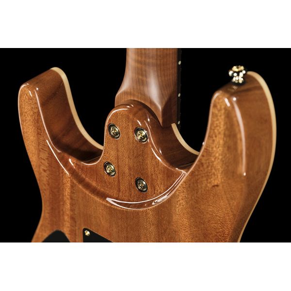 Harley Benton Fusion-IV HH RW