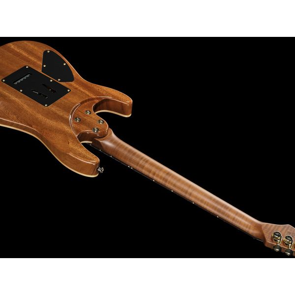 Harley Benton Fusion-IV HH RW