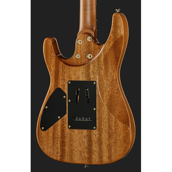 Harley Benton Fusion-IV HH RW