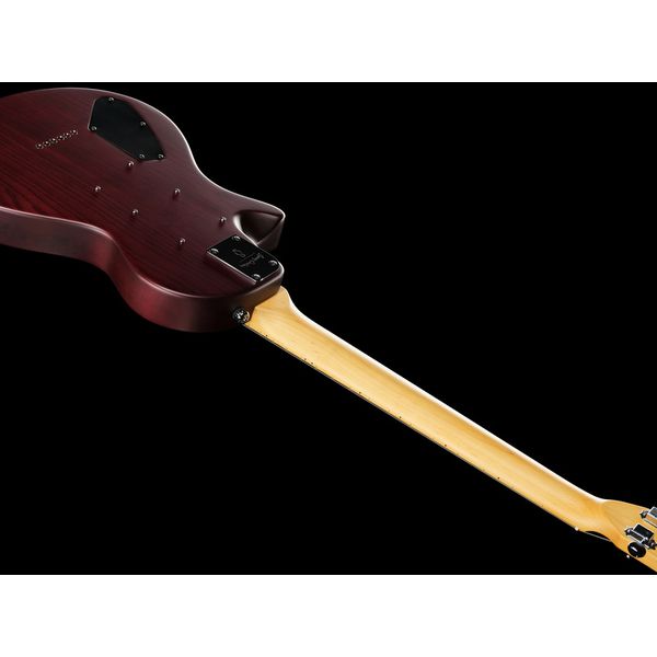 Larry Carlton I5L