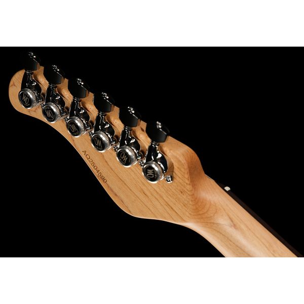 Mayones Guitars Aquila V24 6 MMCG