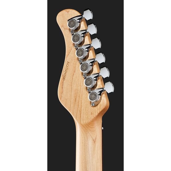 Mayones Guitars Aquila V24 6 MMCG