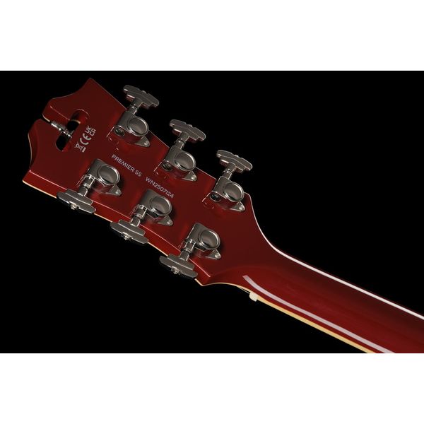 DAngelico Premier SS Burnt