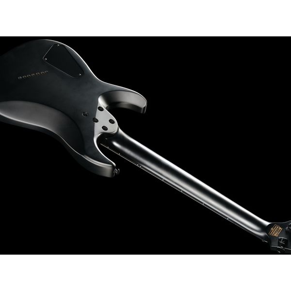 Schecter Damien 7 Multiscale