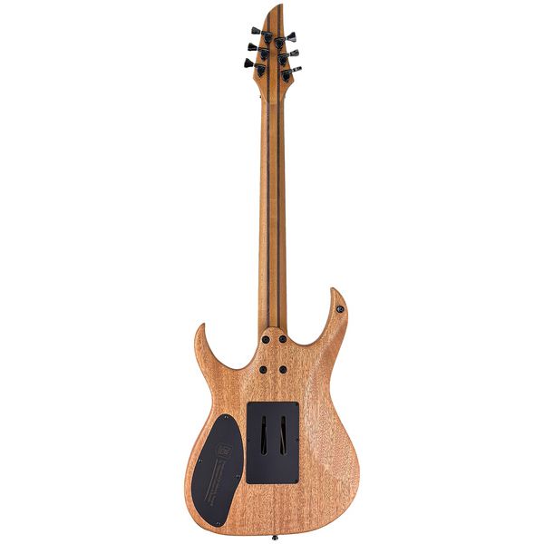 Mayones Guitars Duvell Elite Pro 6 Fire Dragon