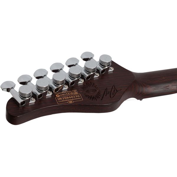 Schecter Nick Johnston Trad HH AM
