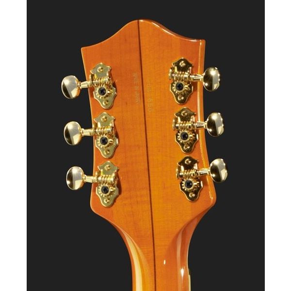 Gretsch G6120 Eddie Cochran