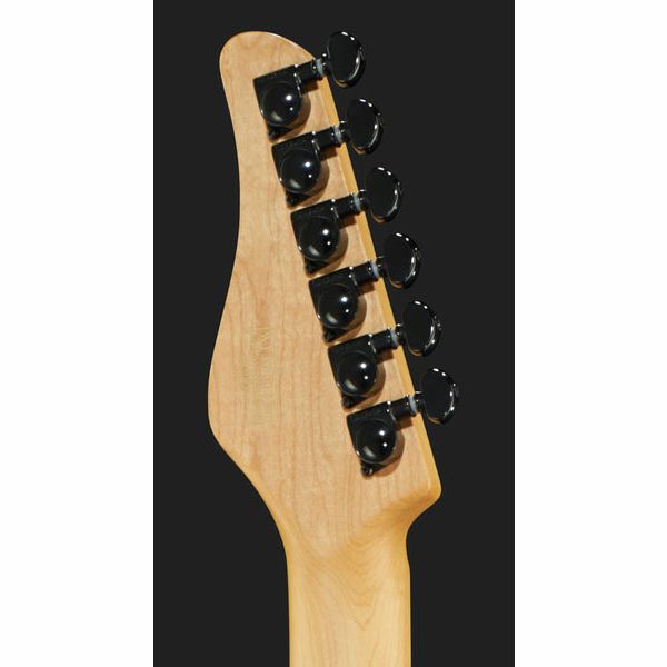 Schecter PT