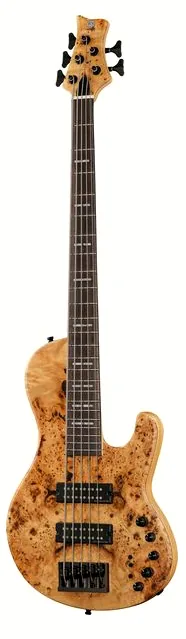 Marcus Miller F10-5 NT