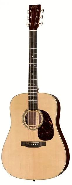 Martin Guitar D-16E-01